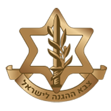 t3